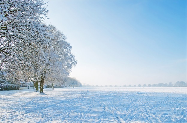 Snowy Day