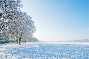 Snow Day
