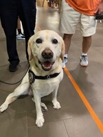 Dr. V's Weekly Update Aug. 30-Sept. 3