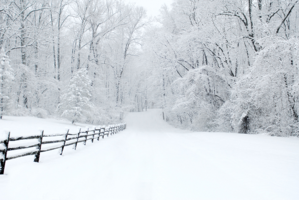 Snow Letter