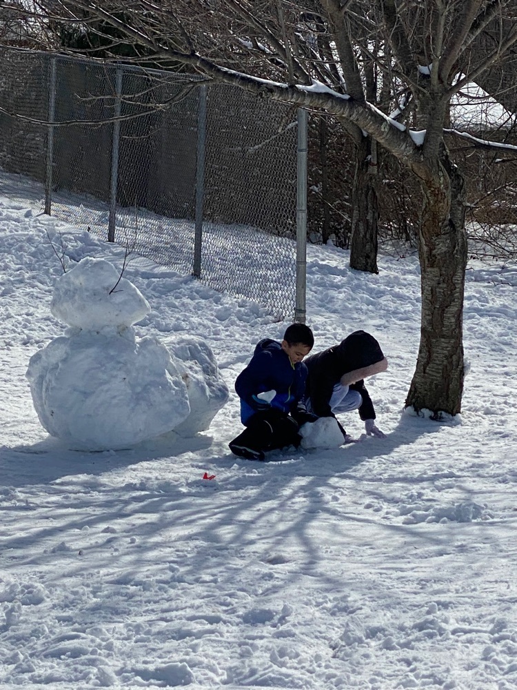Snow Fun Day