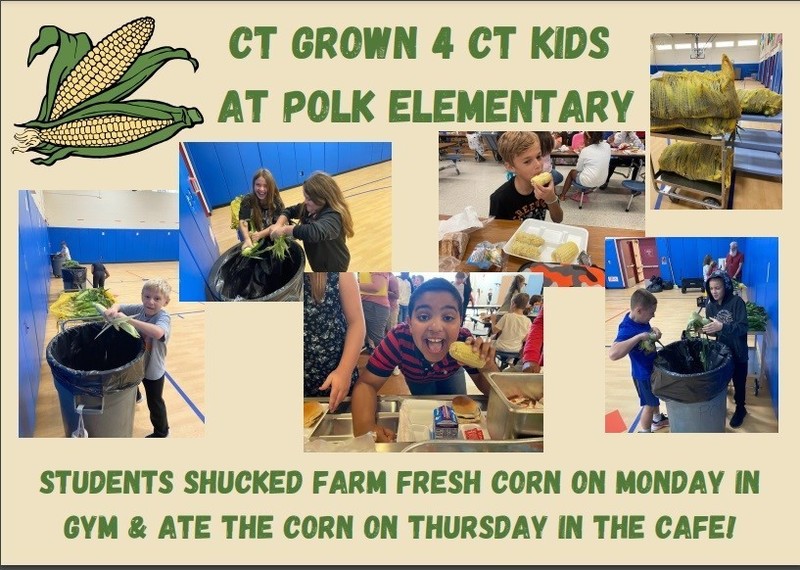 CT Grown | Polk Elementary School